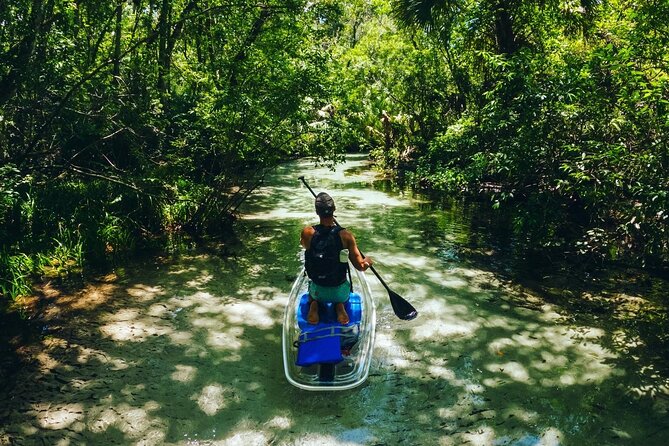 Rainbow Springs: Clear Kayak & Snorkel Eco Tour - Weight and Health Restrictions
