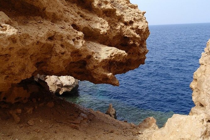 Ras Mohamed National Park by Bus Half Day - Sharm ElSheikh - Visitor Reviews
