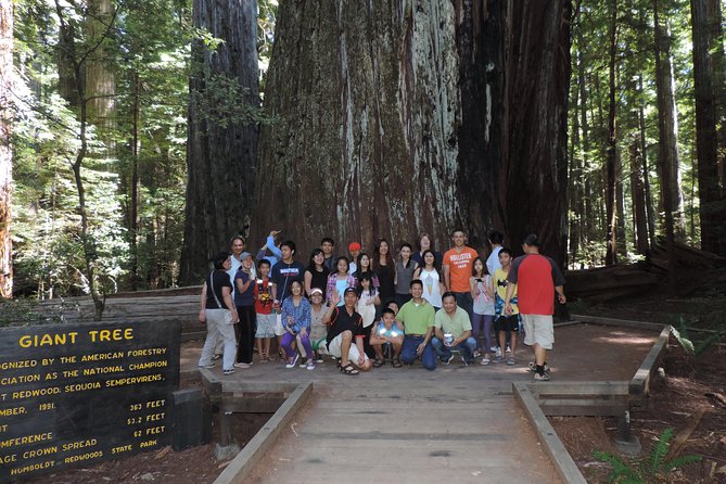 Redwood National Park Tour 2-Day Private Tour Package Hotel Included - Accessibility Details