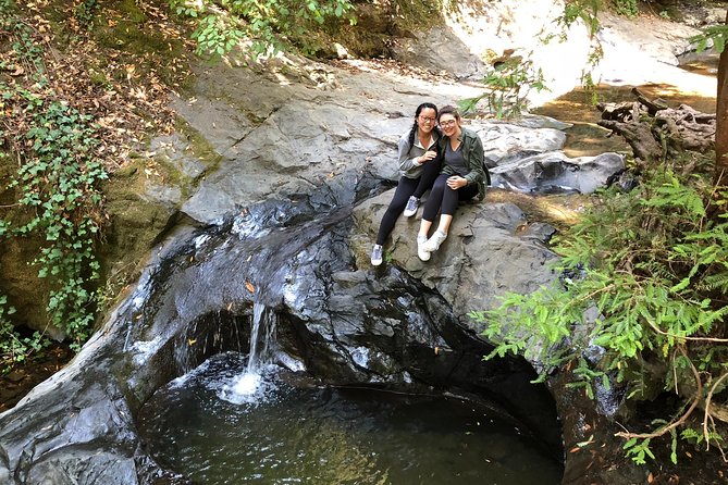 Redwoods of Marin and Mt. Tamalpais Walking Tour With Local Guide - What to Expect