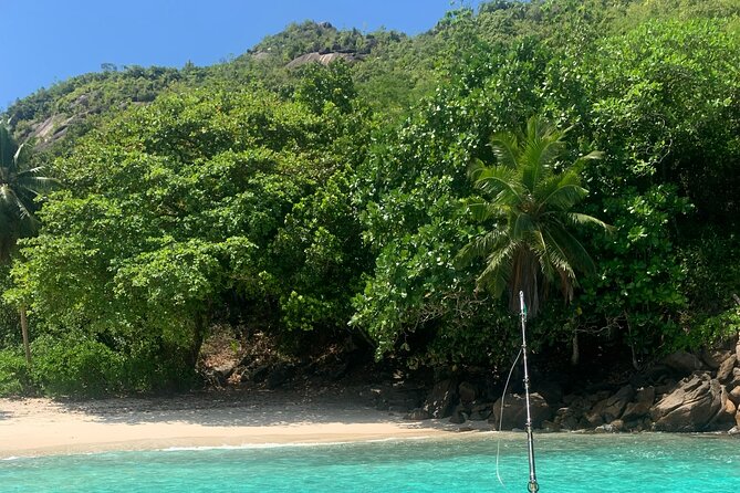 Reef Safari - Snorkeling, Fish Feeding & Lunch (Shared Day Trip) - Hiking and Giant Tortoises