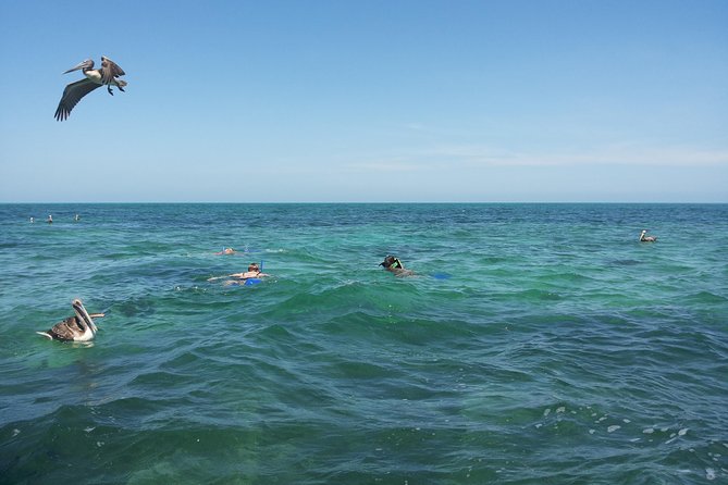 Relaxing Private Boat Tour to Cabo Catoche With Fishing and Snorkeling - Schedule and Availability