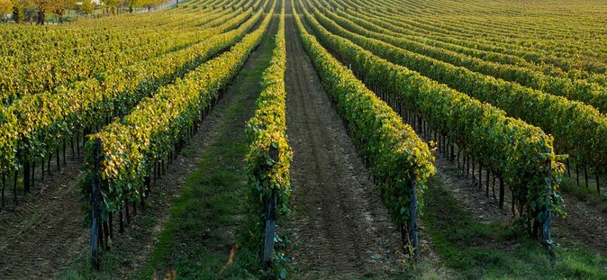 Relaxing Wine Tour With Food & Wine Tasting - Umbria - Exploring Perugia, Italy