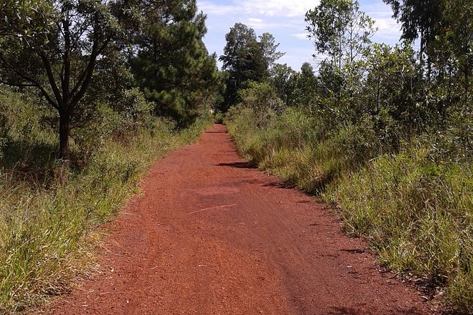 Retiro Das Pedras Walk and Marcinhos Bar - Health and Safety Restrictions