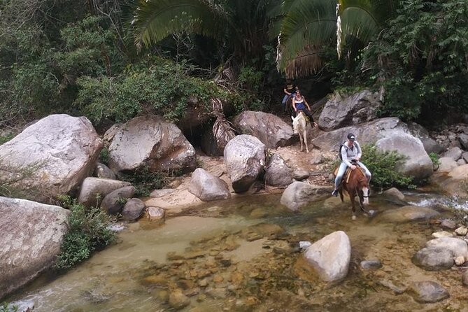Rey Spearo - Enchanting And Romantic Custom Created Tours - Customer Reviews and Experiences