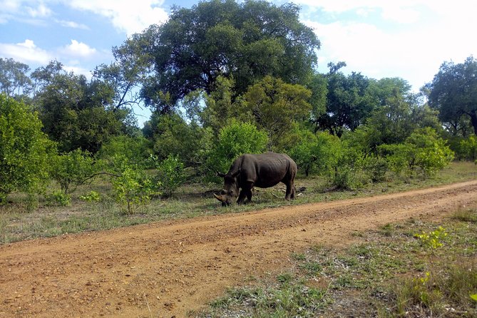 Rhino & Nature Walk in the Musiotunya National Park - Health and Safety Considerations