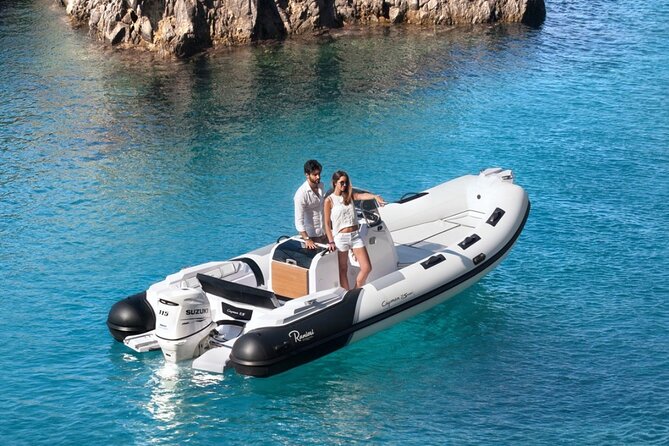 Rib Boat Tour to the Dolphin Area up to 6 People - What to Expect During the Tour