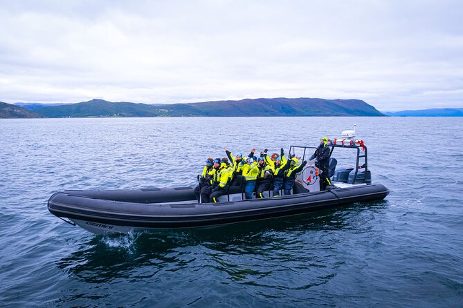 RIB Expedition to Seiland National Park - 3.5h - Health and Safety Guidelines