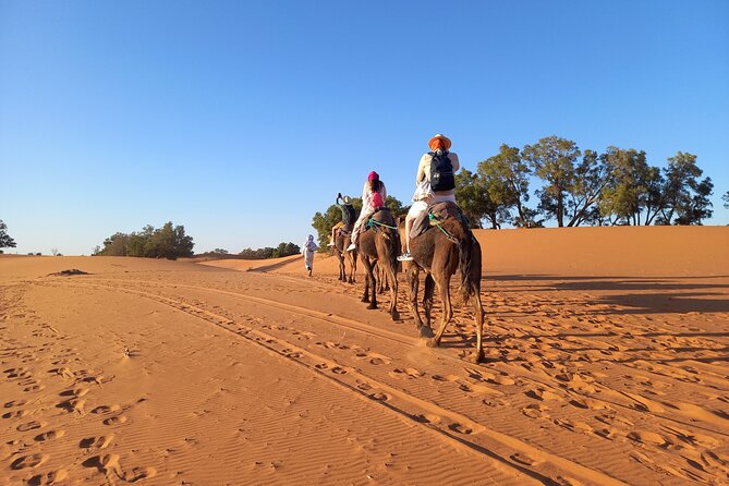 Ride the Camels for Sunset in Merzouga Dunes - Accessibility and Considerations