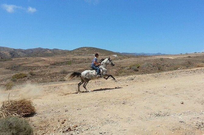 Riding 2 Hours Along the Maspalomas Route - Group Size