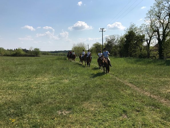 Riding Course for All Levels 1/2 Day (3 Hours) - Frequently Asked Questions