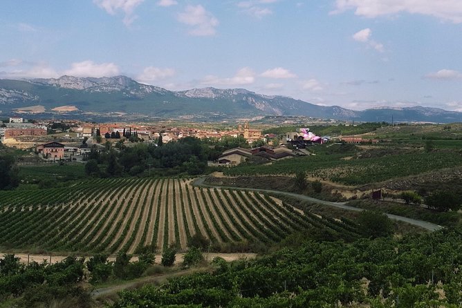 Rioja Winery Hopping Tour From San Sebastian - Discovering Laguardia Village