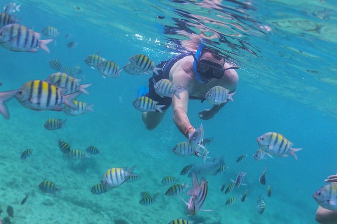 Riviera Maya Luxury Snorkeling Cruise With Lunch and Drinks - Health and Safety Considerations
