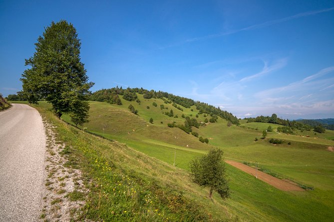 Road Cycling Tour Slovenia - Transportation and Accessibility