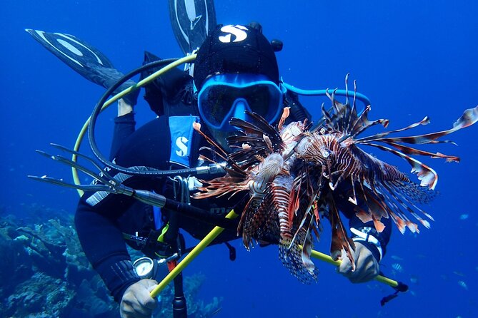 Roatan 2 Dive Scuba Adventure for Certified Divers - Transportation Details