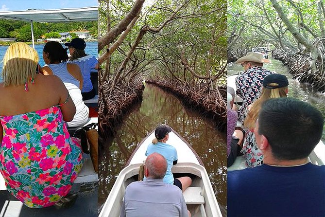 Roatan Mangrove Tunnel Culture Tour on a Water Taxi Tuk-Tuk - Discovering Roatans Vibrant Tuk-Tuk Rides