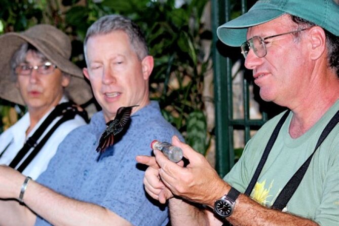 Rocklands Bird Sanctuary & City Highlights Plus Shopping From Grand Palladium - Convenient Hotel Pickup and Drop-off