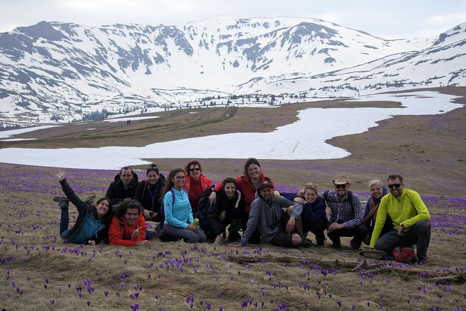 Rodnei Mountains National Park 5-Day Private Tour  - Cluj-Napoca - Train Rides and Horseback