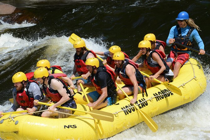 Rouge River White Water Rafting - Full Day - Adventure Highlights