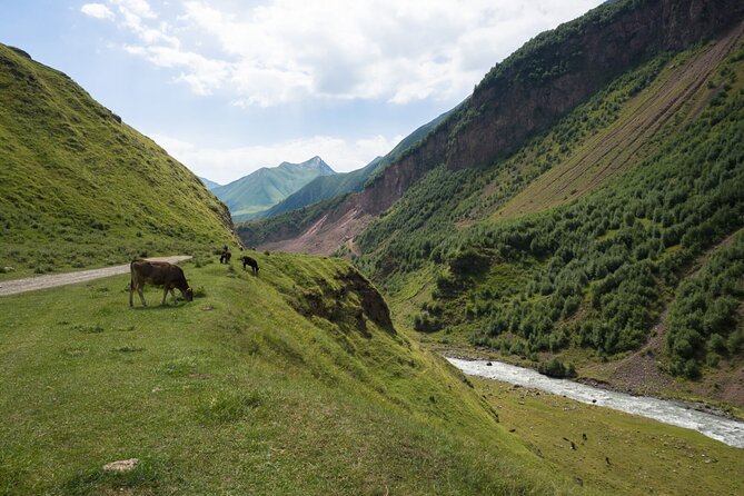 Round-Trip Bus Transfer to Truso Valley From Kazbegi - Hiking Recommendations