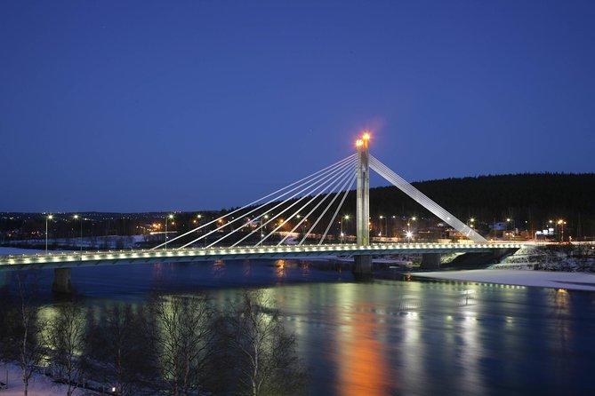 Rovaniemi Walking Tour and Guided Arktikum Experience - Accessibility and Participation