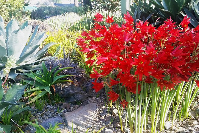 Ruth Bancroft Garden General Admission Ticket - Tour Options Available