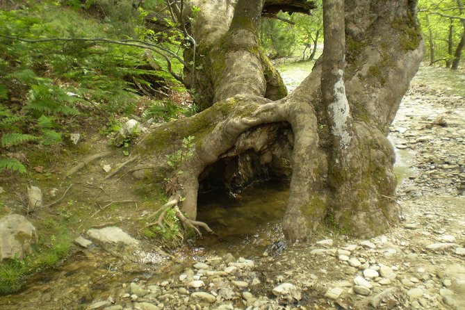 Safari 4x4 in Thassos - Exploring the Waterfall and Lake
