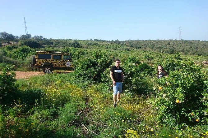 Safari Experience With Traditional Tapas - Meeting and Pickup Information
