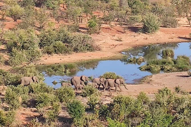 Safari in Victoria Falls and Zambezi National Park - Pickup and Drop-off Details