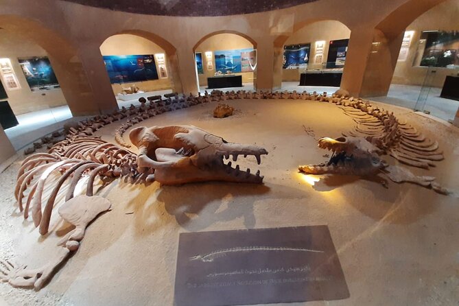Safari Pravite Day Tour to El Fayoum Oasis Includes Whales Valley by 4X4 Car - Inclusions and Amenities
