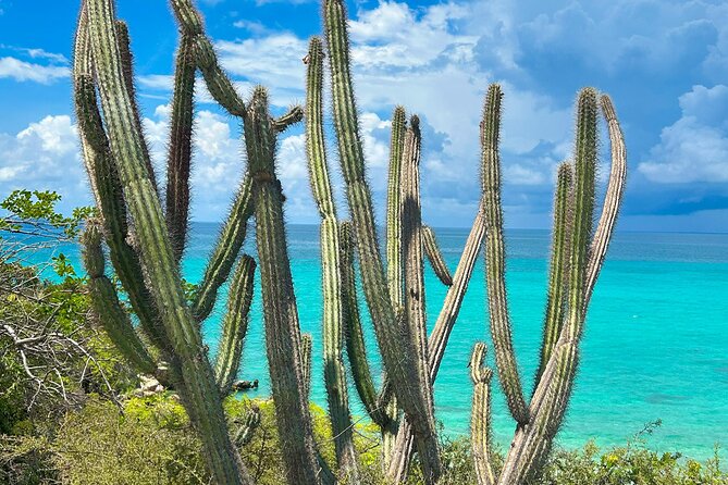Safari Tour – Paradisiacal Excursion to Bahia De Las Águilas - Immersive Aquatic Adventures