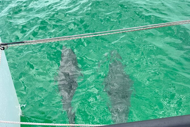 Sailing Adventures 3-Hour Activity in Destin - Boarding and Disembarking the Vessel