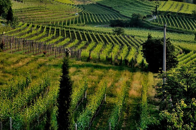 Saint-Emilion and Vineyard Walk With Wine Tasting - Gourmet Tour at Château LA CROIZILLE