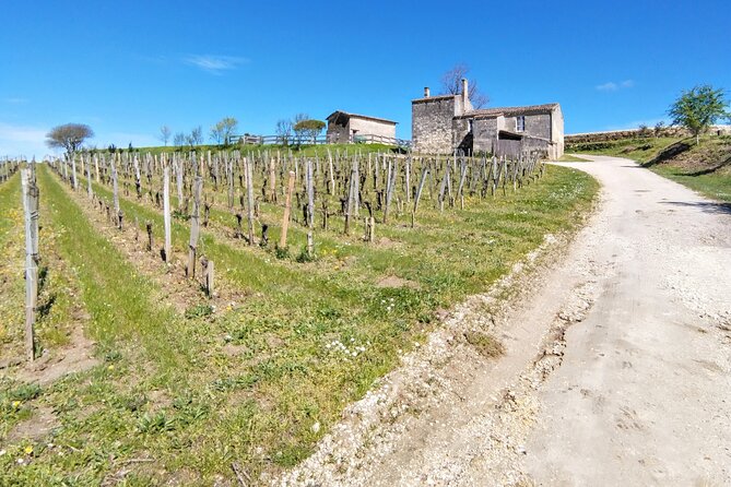 Saint-Émilion by Bike Gravel & Wine Tasting - Knowledgeable Local Guide