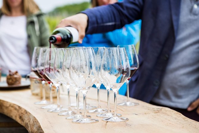 Saint-Georges Saint-Emilion Walking and Biking Tour With Lunch  - France - Family-Owned Cellar Visits
