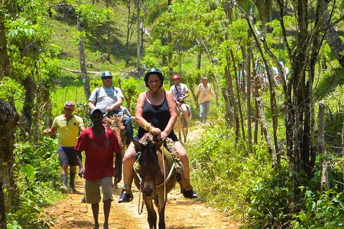 Samana Day Trip Eco-Tour - Meeting and Pickup