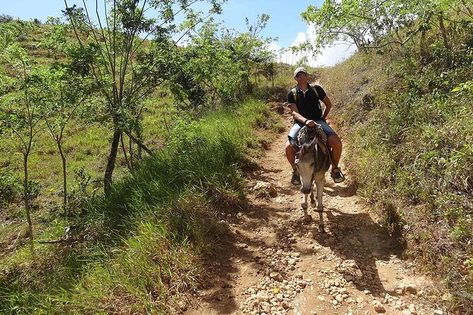 Samaná Full-Day Cultural Adventure Tour From Santo Domingo - Exploring Samaná