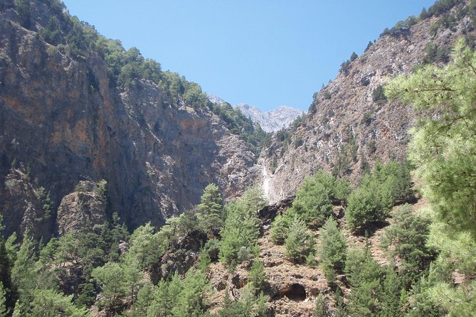 Samaria Gorge Transfer From Chania (Price per Group of 6) - Included Amenities and Facilities