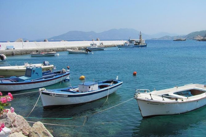 Samos Picnic Tour Relaxed Adventure - Beachside Barbecue Feast