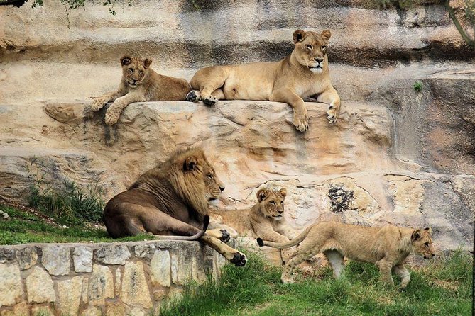 San Antonio Explorer Pass: Save up to 50% - Includes Six Flags - Navigating the Pass and Reservations