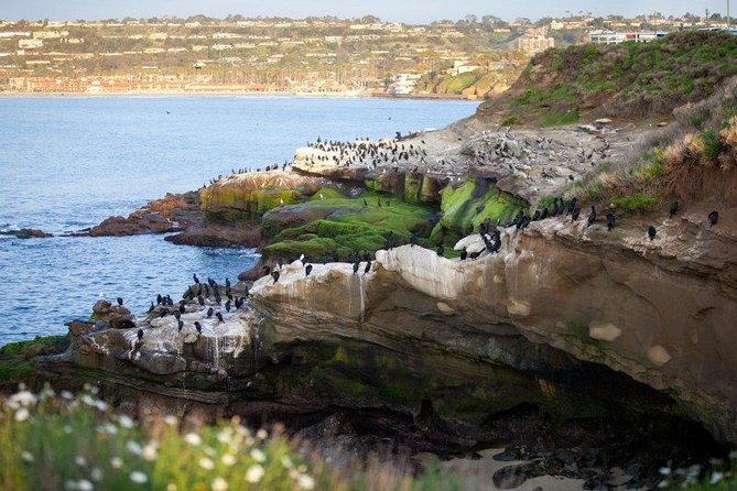 San Diego Luxury: Custom 4-Hour Private Tour in Style - Pricing Details