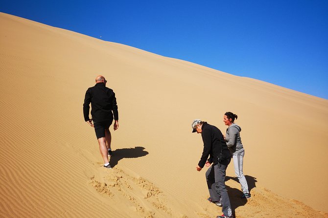 Sandwhich Harbour Dune 4x4 Half Day - Pickup and Meeting Point