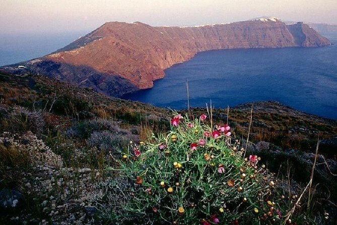 Santorini Caldera Walking Tour - Charming Villages and White-Washed Homes