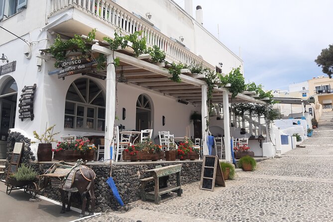 Santorini Like a Local: Discover Local Flavors by Exploring the Island! - Immersive Cultural Experiences
