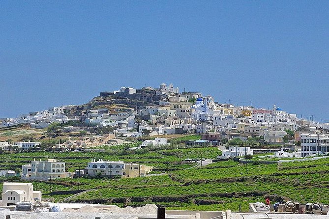 Santorini Shore Excursion: Private Tour of Oia and Fira, Including Museum of Prehistoric Thira and W - Wine Tasting at a Winery