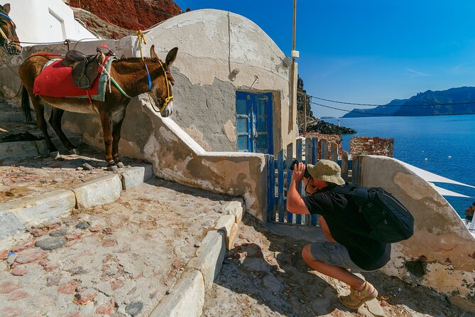 Santorini Shore Excursion Tour for First-Time Cruise Visitors - Accessibility and Requirements