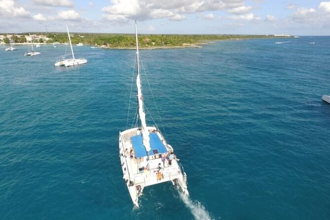 Saona Island Full-Day Excursion - Customer Ratings and Reviews