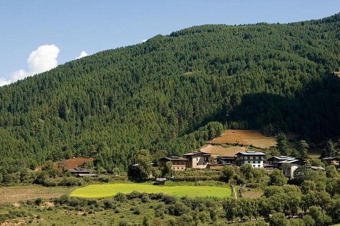 Scenic Bhutan Guided Multi-Day Tour With Airport Pickup - Meeting and Pickup Process