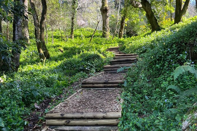 Scenic Hiking Tour in Sintra - Schedule