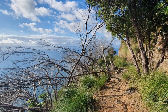 Scenic Private Hiking Tour From Portofino to S. Fruttuoso - Booking and Confirmation